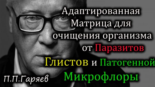 🧬 Оригинальная звуковая матрица П.П. Гаряева
🎯 Для очищения организма от паразитов, глистов