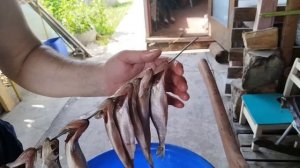 вялим корюшку сами👆 от и до😉