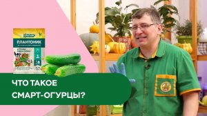Что такое смарт-огурцы?