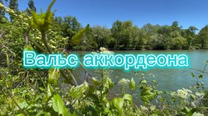 Прекрасный аккордеон, музыка для души
