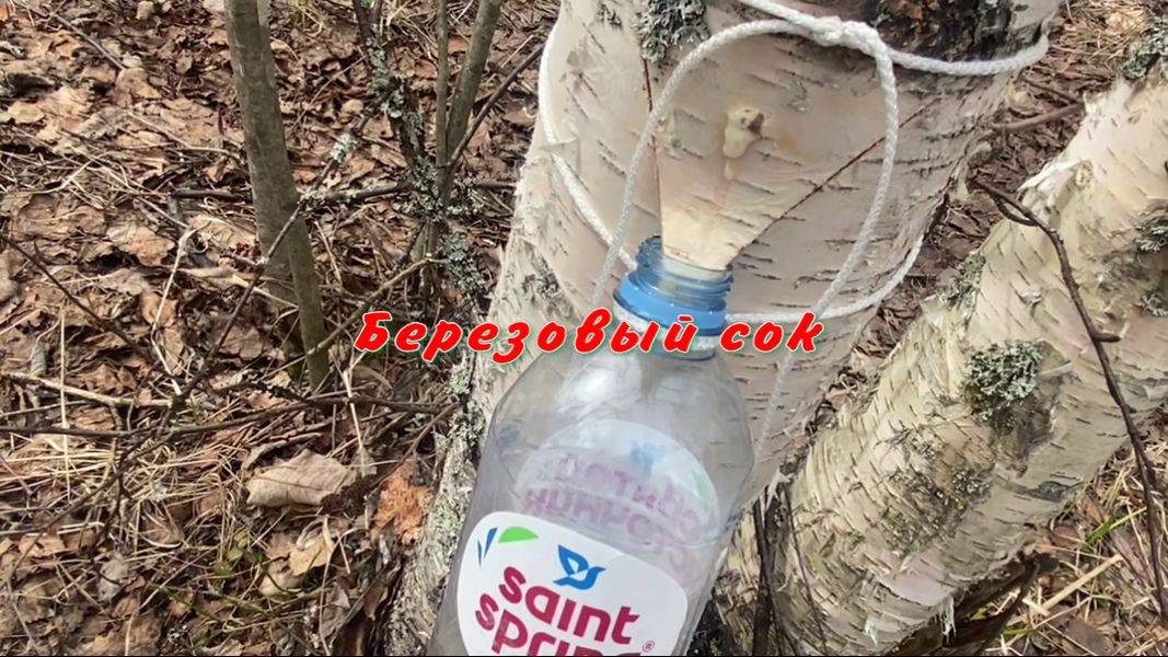 Рыбалка в Карелии. Отдых и путешествие. Березовый сок смотреть онлайн