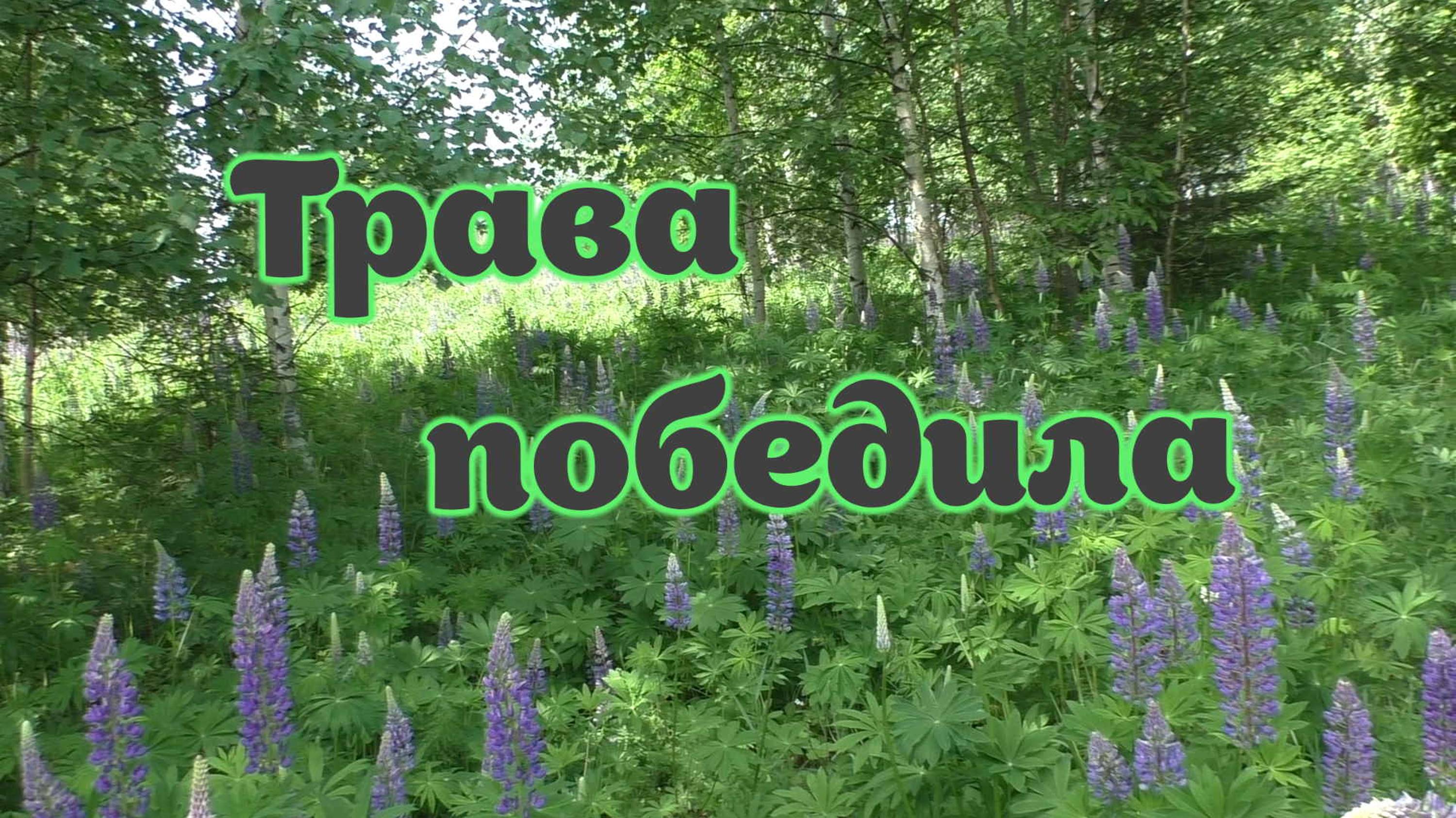 Трава победила