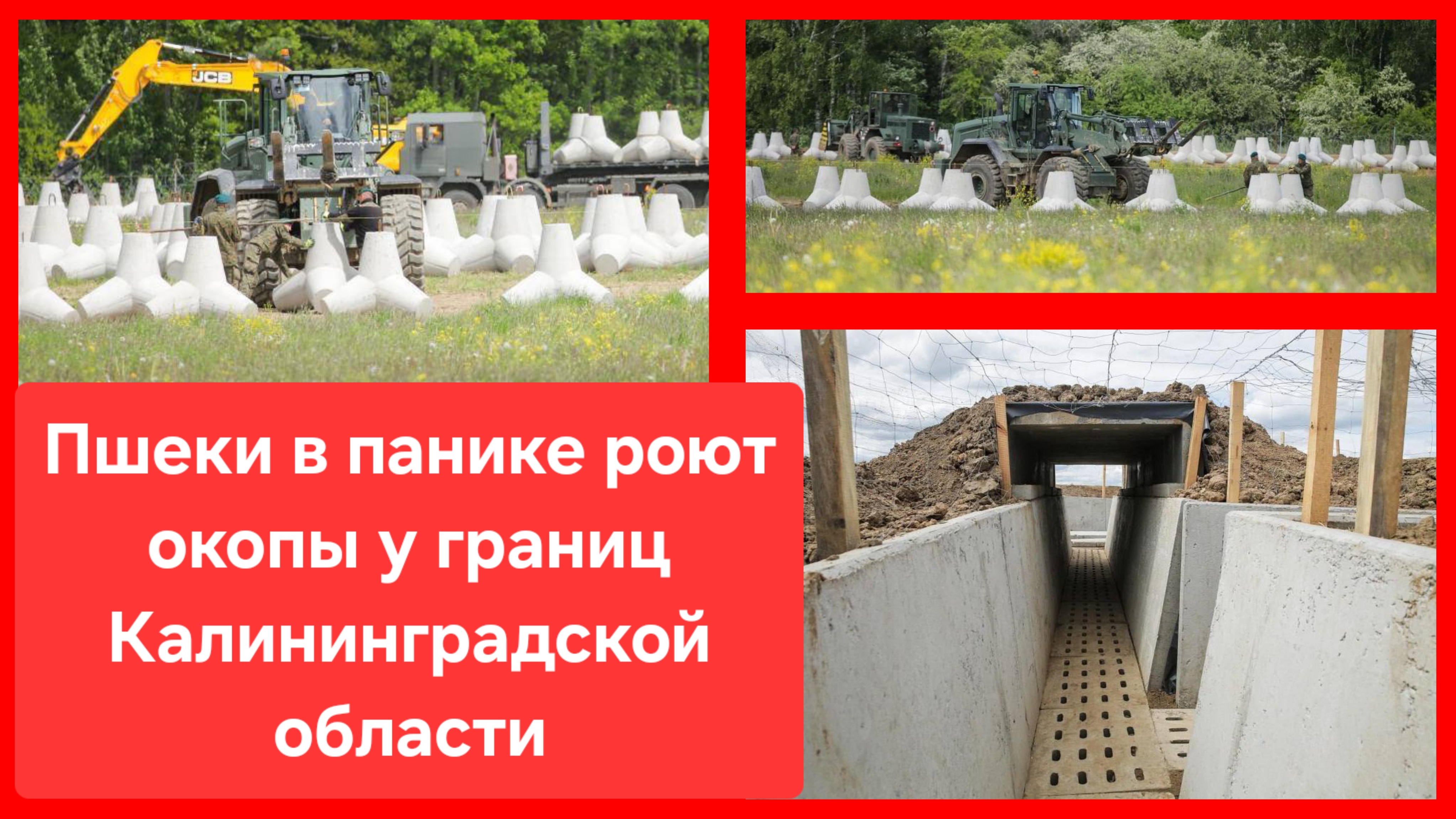 Когда польские стратеги планируют победу над Москвой, но открывают учебник и видят там 1612-1945 гг смотреть онлайн