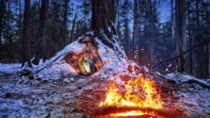 Построил ТАЁЖНЫЙ СЕКРЕТ своими руками | ЗЕМЛЯНКА-СХРОН за 24 часа | БЕРЛОГА в ЛЕСУ