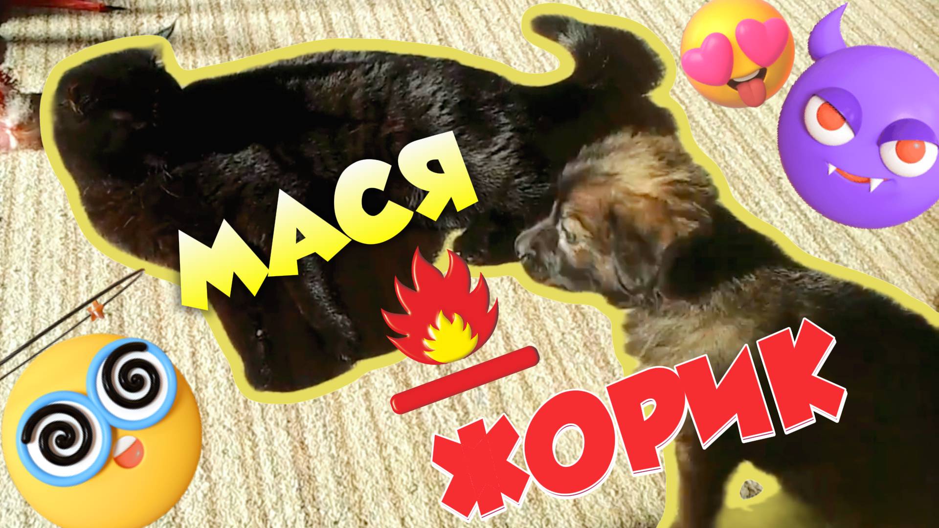 кошка МАСЯ & щенок ЖОРИК смотреть онлайн