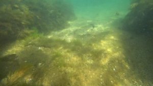 #Крым. Феодосия 2024. Пляж Барабулька.