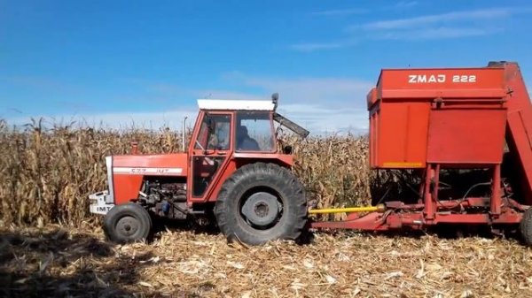Branje kukuruza | Zmaj 222 | IMT 577