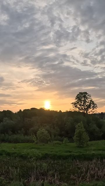 Всем с добрым утром, хорошего дня. смотреть онлайн