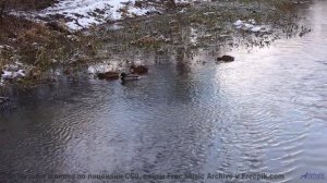 Ледники тают под эти звуки! - Nosedive -- Taylor Poe -- Quiet Sound of Disappearing