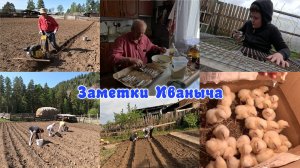 Неизданное: посадили картошку и грядки. Мы-молодцы.