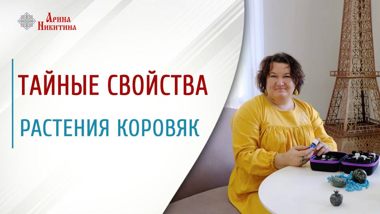 Растение коровяк. Применение и магические свойства | Арина Никитина смотреть онлайн