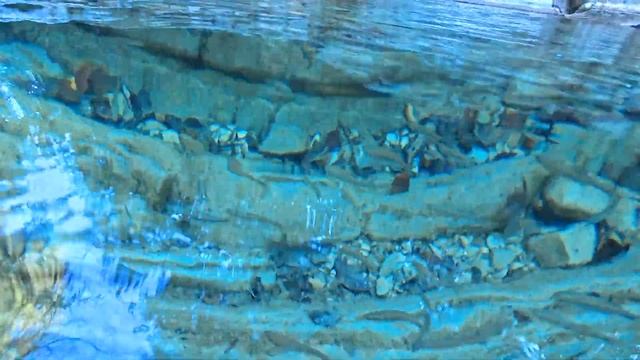 Shooting underwater the insta 360 ace Pro action camera / Съемка под водой Insta 360 смотреть онлайн