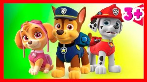 ЩЕНЯЧИЙ ПАТРУЛЬ В БУХТЕ ПРИКЛЮЧЕНИЙ - ИГРАВОЙ МУЛЬТИК ДЛЯ ДЕТЕЙ