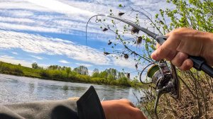 ОФИГЕТЬ! ТУТ РЫБЫ спиннинг ВЫБИВАЮТ С РУК! Рыбалка на спиннинг, голавль жерех