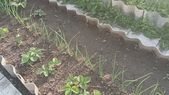 ВОТ ЧТО Я ДЕЛАЮ НЕ ТАК ?