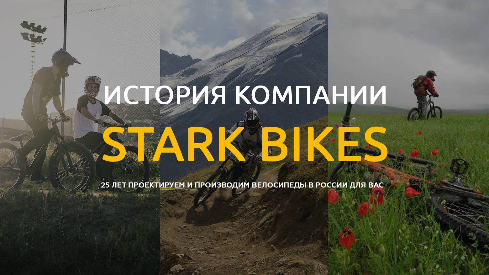 История компании Stark Bikes