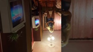 Я буду любить тебя Всегда.