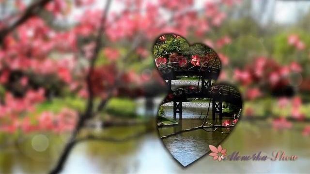 Бесплатный проект ProShow Producer. Свадебное слайд шоу "Вмес? смотреть онлайн