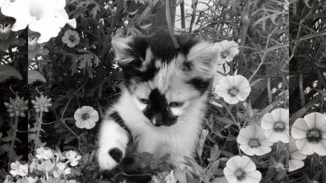 плейлист песен speed up смотреть онлайн