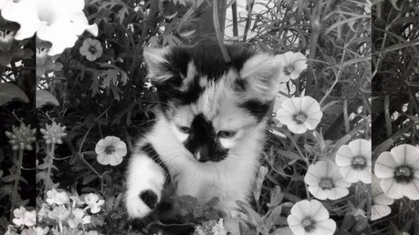 плейлист песен speed up