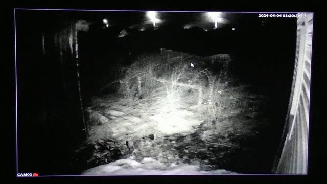 Аналоговая камера GiNZZU HAB 2301S ночь