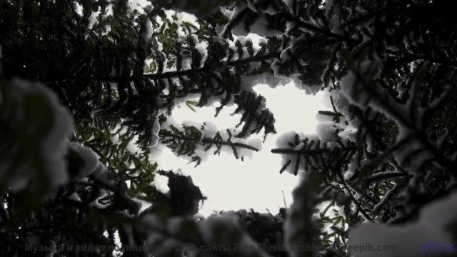 Невозможно не заслушаться под такую завораживающую картинку - Carefree Morning -- Scott Holmes Music