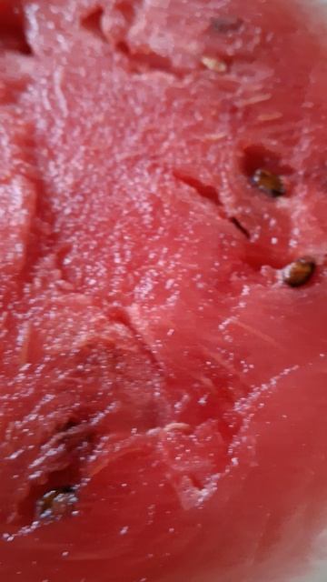 Арбуз 🍉 смотреть онлайн