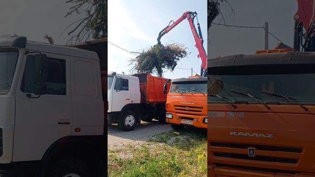 работа с ломовозом