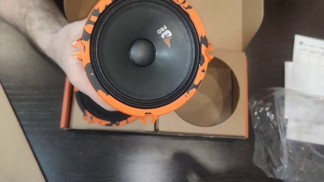 Замена штатной акустики в Рено Сандеро на DL Audio Gryphon Pro 1