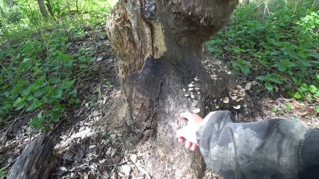 ПРОВЕРКА ОЗЕР, ПАСМУРНАЯ ПОГОДА,часть 2