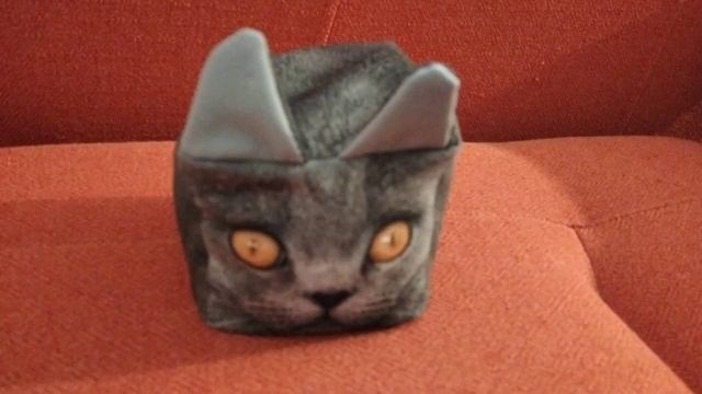 Какой-то кубический кот замечает камеру, и ломает её.