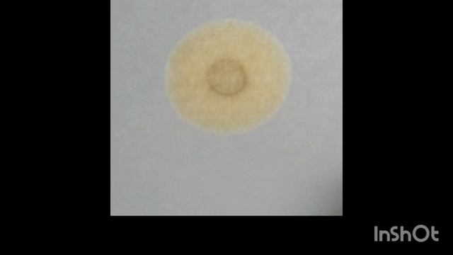 9 марта 2025 г.