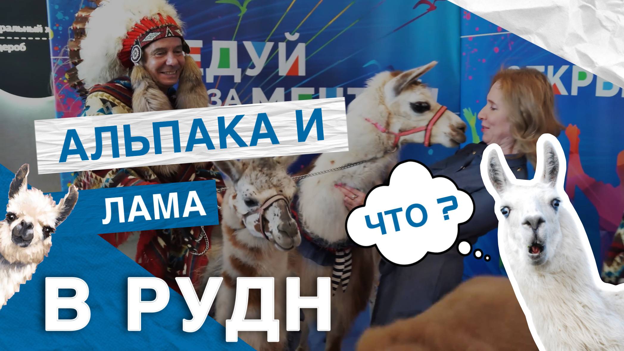 Неделя культуры стран Латинской Америки смотреть онлайн