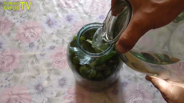 ЖАЛЬ РАНЬШЕ НЕ ЗНАЛИ ЭТОТ РЕЦЕПТ НАЛИВКИ, А ТЕПЕРЬ ЛИТРАМИ ДЕЛАЕМ _ НАЛИВКА _БЕРСЕНЕВСКАЯ_