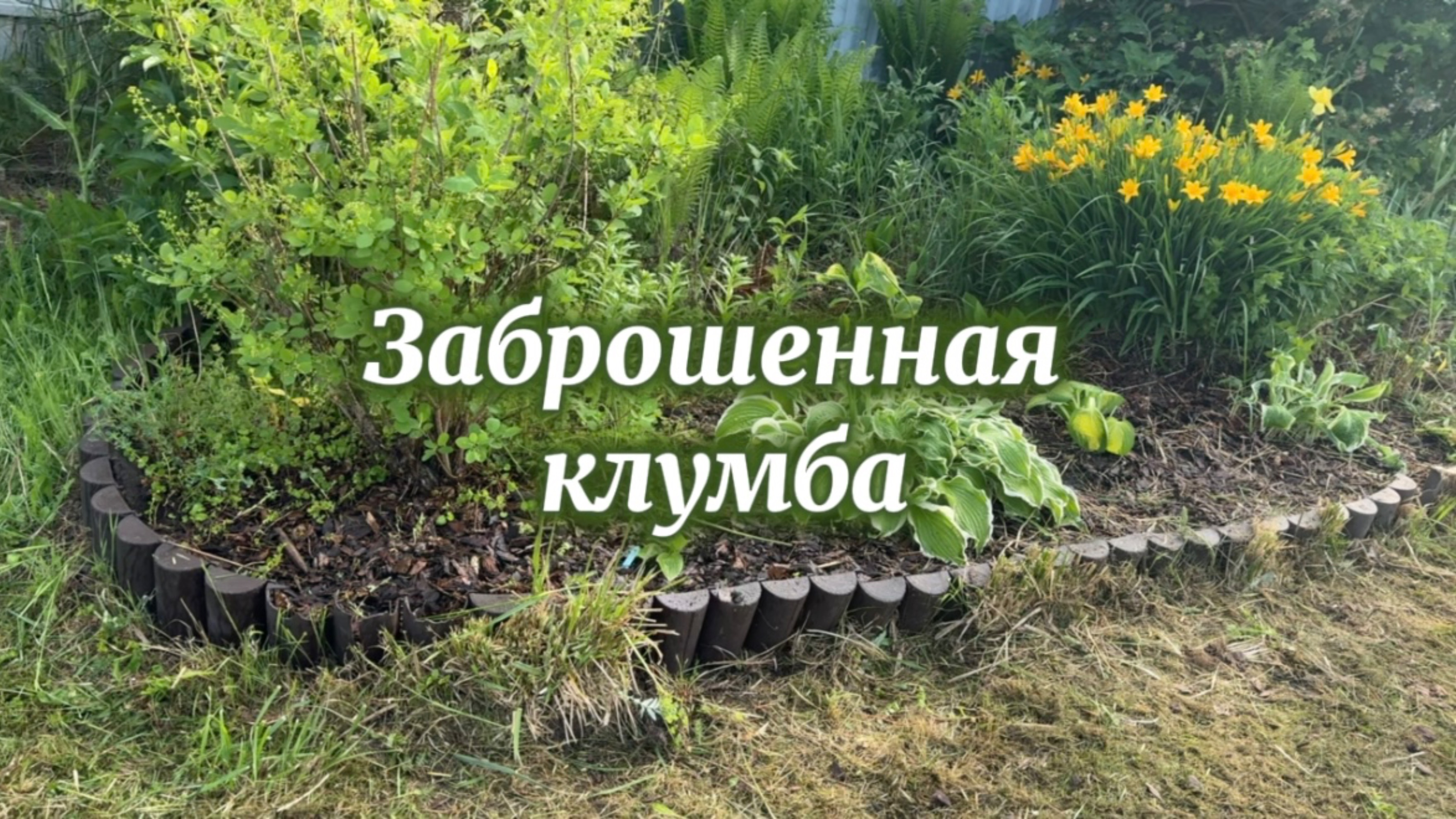 Восстанавливаем заброшенную клумбу. Начало положено…и прочие зарисовки