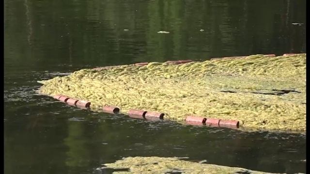 120 зареченцев приняли участие в субботнике на пруду смотреть онлайн