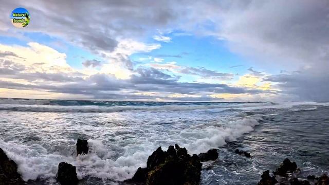 ЗАВОРАЖИВАЮЩИЙ ТИХИЙ ОКЕАН, ВИД И ШУМ ВОЛН ДЛЯ СНА И РЕ смотреть онлайн