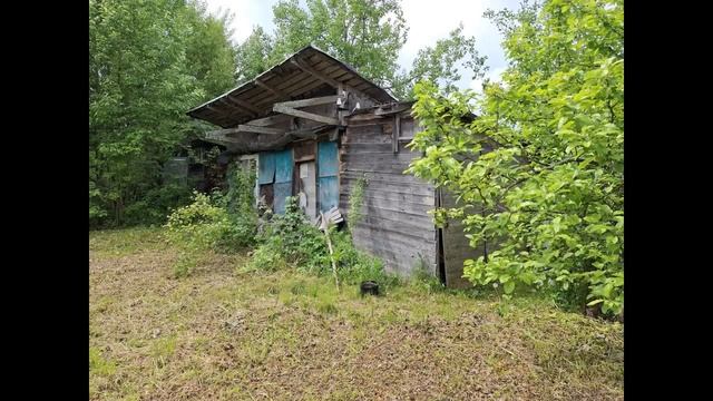 Посадников остров, садоводческое некоммерческое товарищество Скороход-2, 2-я линия смотреть онлайн