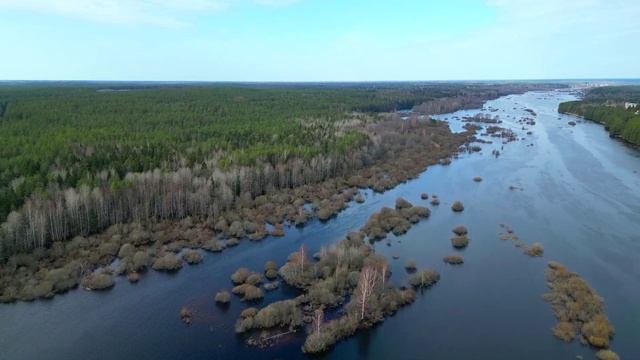 Луга - Оредеж смотреть онлайн