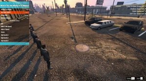 Menyoo Trainer - Обзор | Как сделать кортеж в GTA V