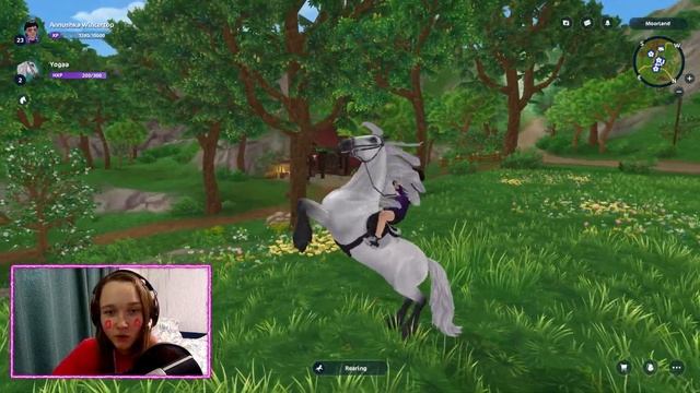 ПОКУПКА ДРАКОНОВ | ОНИ ДЫШАТ ОГНЕМ | Star Stable смотреть онлайн