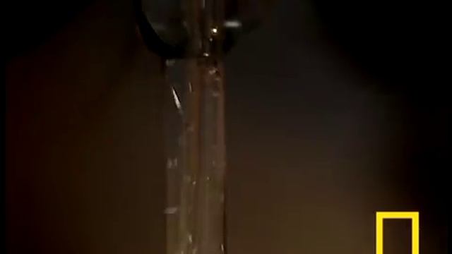 Global warming 101 /National Geographic смотреть онлайн
