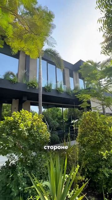 Где живут самые богатые люди Дубая?