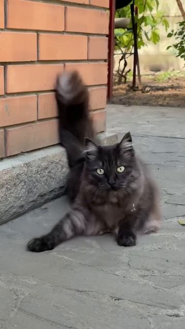 ПТИЧЬЕ МОЛОКО как в СССР смотреть онлайн