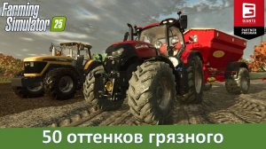 FS 25 - Обзор грязевого мода Real Dirt Color