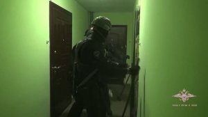 Ирина Волк: В Дмитрове полицейские задержали подозреваемых в организации незаконной миграции