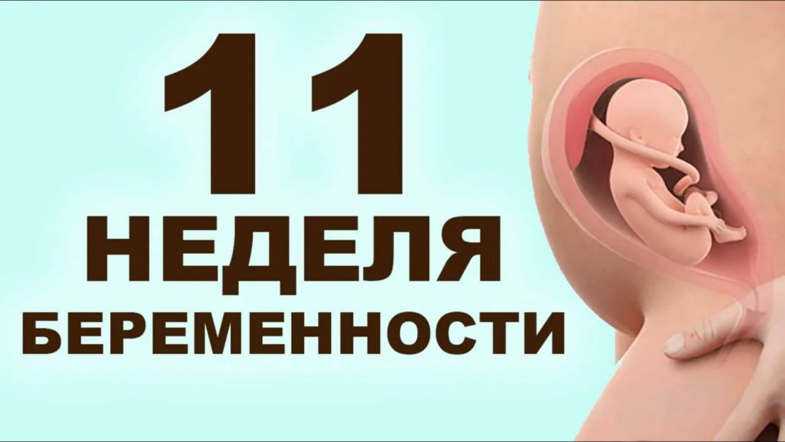 Что происходит с мамой и ребёнком на 11 неделе беременности? 3 месяц беременности. Первый триместр смотреть онлайн