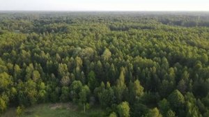 ВАС УДИВИТ КАК ЖИВУТ ЛЮДИ в ГЛУХОЙ БЕЛОРУССКОЙ ДЕРЕВНЕ