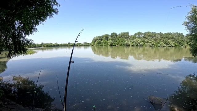 Рыбалка на Кубани в районе станицы Федоровской. 08.06.25 смотреть онлайн