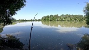 Рыбалка на Кубани в районе станицы Федоровской. 08.06.25